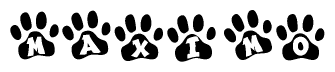 The image shows a series of animal paw prints arranged in a horizontal line. Each paw print contains a letter, and together they spell out the word Maximo.