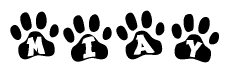 The image shows a row of animal paw prints, each containing a letter. The letters spell out the word Miay within the paw prints.