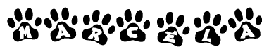 The image shows a row of animal paw prints, each containing a letter. The letters spell out the word Marcela within the paw prints.