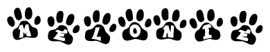 The image shows a series of animal paw prints arranged in a horizontal line. Each paw print contains a letter, and together they spell out the word Melonie.