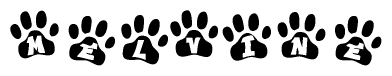 The image shows a series of animal paw prints arranged in a horizontal line. Each paw print contains a letter, and together they spell out the word Melvine.