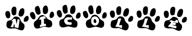 The image shows a series of animal paw prints arranged in a horizontal line. Each paw print contains a letter, and together they spell out the word Nicolle.