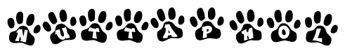 The image shows a row of animal paw prints, each containing a letter. The letters spell out the word Nuttaphol within the paw prints.