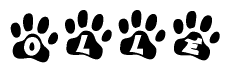The image shows a series of animal paw prints arranged in a horizontal line. Each paw print contains a letter, and together they spell out the word Olle.