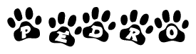 The image shows a row of animal paw prints, each containing a letter. The letters spell out the word Pedro within the paw prints.