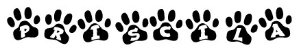The image shows a series of animal paw prints arranged in a horizontal line. Each paw print contains a letter, and together they spell out the word Priscila.