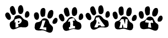 The image shows a row of animal paw prints, each containing a letter. The letters spell out the word Pliant within the paw prints.