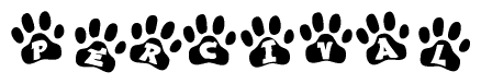 The image shows a row of animal paw prints, each containing a letter. The letters spell out the word Percival within the paw prints.