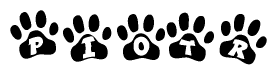The image shows a series of animal paw prints arranged in a horizontal line. Each paw print contains a letter, and together they spell out the word Piotr.