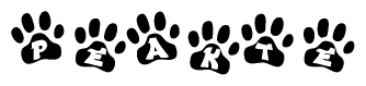 The image shows a row of animal paw prints, each containing a letter. The letters spell out the word Peakte within the paw prints.