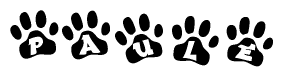 The image shows a series of animal paw prints arranged in a horizontal line. Each paw print contains a letter, and together they spell out the word Paule.
