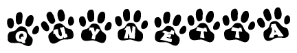 The image shows a row of animal paw prints, each containing a letter. The letters spell out the word Quynetta within the paw prints.