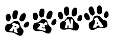 The image shows a series of animal paw prints arranged in a horizontal line. Each paw print contains a letter, and together they spell out the word Rena.