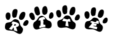 The image shows a row of animal paw prints, each containing a letter. The letters spell out the word Rite within the paw prints.