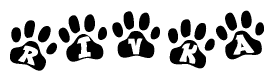 The image shows a series of animal paw prints arranged in a horizontal line. Each paw print contains a letter, and together they spell out the word Rivka.