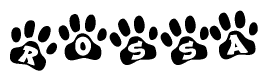 The image shows a series of animal paw prints arranged horizontally. Within each paw print, there's a letter; together they spell Rossa