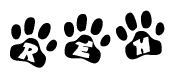 The image shows a series of animal paw prints arranged in a horizontal line. Each paw print contains a letter, and together they spell out the word Reh.