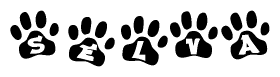 The image shows a row of animal paw prints, each containing a letter. The letters spell out the word Selva within the paw prints.
