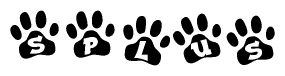The image shows a series of animal paw prints arranged in a horizontal line. Each paw print contains a letter, and together they spell out the word Splus.