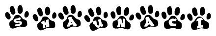 The image shows a row of animal paw prints, each containing a letter. The letters spell out the word Shaunaci within the paw prints.