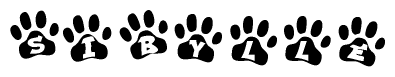The image shows a series of animal paw prints arranged in a horizontal line. Each paw print contains a letter, and together they spell out the word Sibylle.