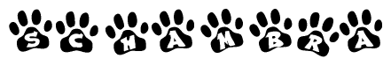 The image shows a row of animal paw prints, each containing a letter. The letters spell out the word Schambra within the paw prints.