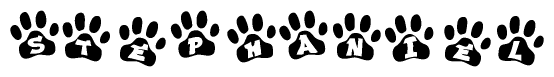 The image shows a series of animal paw prints arranged in a horizontal line. Each paw print contains a letter, and together they spell out the word Stephaniel.