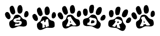 The image shows a series of animal paw prints arranged in a horizontal line. Each paw print contains a letter, and together they spell out the word Shadra.