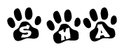 The image shows a series of animal paw prints arranged in a horizontal line. Each paw print contains a letter, and together they spell out the word Sha.