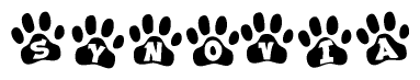 The image shows a series of animal paw prints arranged horizontally. Within each paw print, there's a letter; together they spell Synovia