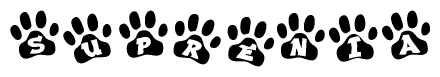 The image shows a row of animal paw prints, each containing a letter. The letters spell out the word Suprenia within the paw prints.