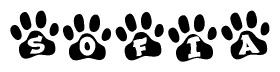 The image shows a series of animal paw prints arranged in a horizontal line. Each paw print contains a letter, and together they spell out the word Sofia.