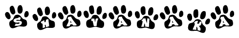 The image shows a series of animal paw prints arranged in a horizontal line. Each paw print contains a letter, and together they spell out the word Shavanaka.