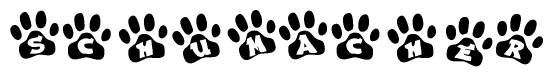 The image shows a row of animal paw prints, each containing a letter. The letters spell out the word Schumacher within the paw prints.