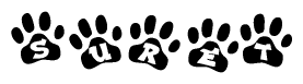 The image shows a row of animal paw prints, each containing a letter. The letters spell out the word Suret within the paw prints.