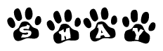 The image shows a series of animal paw prints arranged horizontally. Within each paw print, there's a letter; together they spell Shay