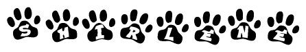 The image shows a series of animal paw prints arranged in a horizontal line. Each paw print contains a letter, and together they spell out the word Shirlene.