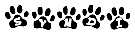 The image shows a series of animal paw prints arranged horizontally. Within each paw print, there's a letter; together they spell Syndi