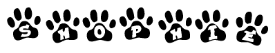 The image shows a row of animal paw prints, each containing a letter. The letters spell out the word Shophie within the paw prints.