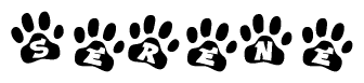 The image shows a row of animal paw prints, each containing a letter. The letters spell out the word Serene within the paw prints.