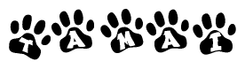 The image shows a row of animal paw prints, each containing a letter. The letters spell out the word Tamai within the paw prints.
