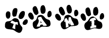 The image shows a series of animal paw prints arranged in a horizontal line. Each paw print contains a letter, and together they spell out the word Tami.