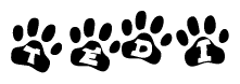The image shows a series of animal paw prints arranged in a horizontal line. Each paw print contains a letter, and together they spell out the word Tedi.