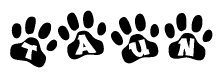 The image shows a series of animal paw prints arranged in a horizontal line. Each paw print contains a letter, and together they spell out the word Taun.
