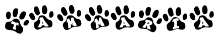 The image shows a series of animal paw prints arranged horizontally. Within each paw print, there's a letter; together they spell Tammaria