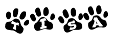 The image shows a row of animal paw prints, each containing a letter. The letters spell out the word Tisa within the paw prints.