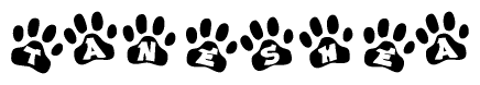 The image shows a row of animal paw prints, each containing a letter. The letters spell out the word Taneshea within the paw prints.