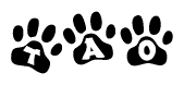 The image shows a row of animal paw prints, each containing a letter. The letters spell out the word Tao within the paw prints.