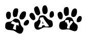 The image shows a row of animal paw prints, each containing a letter. The letters spell out the word Tay within the paw prints.