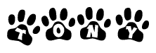 The image shows a series of animal paw prints arranged horizontally. Within each paw print, there's a letter; together they spell Tony